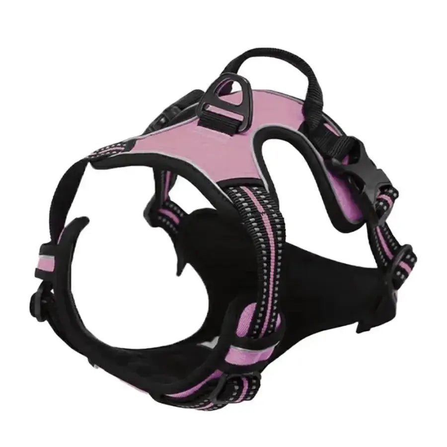 Dog Collars Harness Big Vests Leash Pet Shop Everything for Dogs Leather Puppy Accessories Medium Small Set - Fairy Pet Shop
