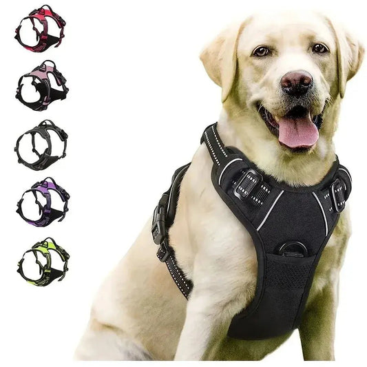 Luxury Leather Dog Harness & Collar Set