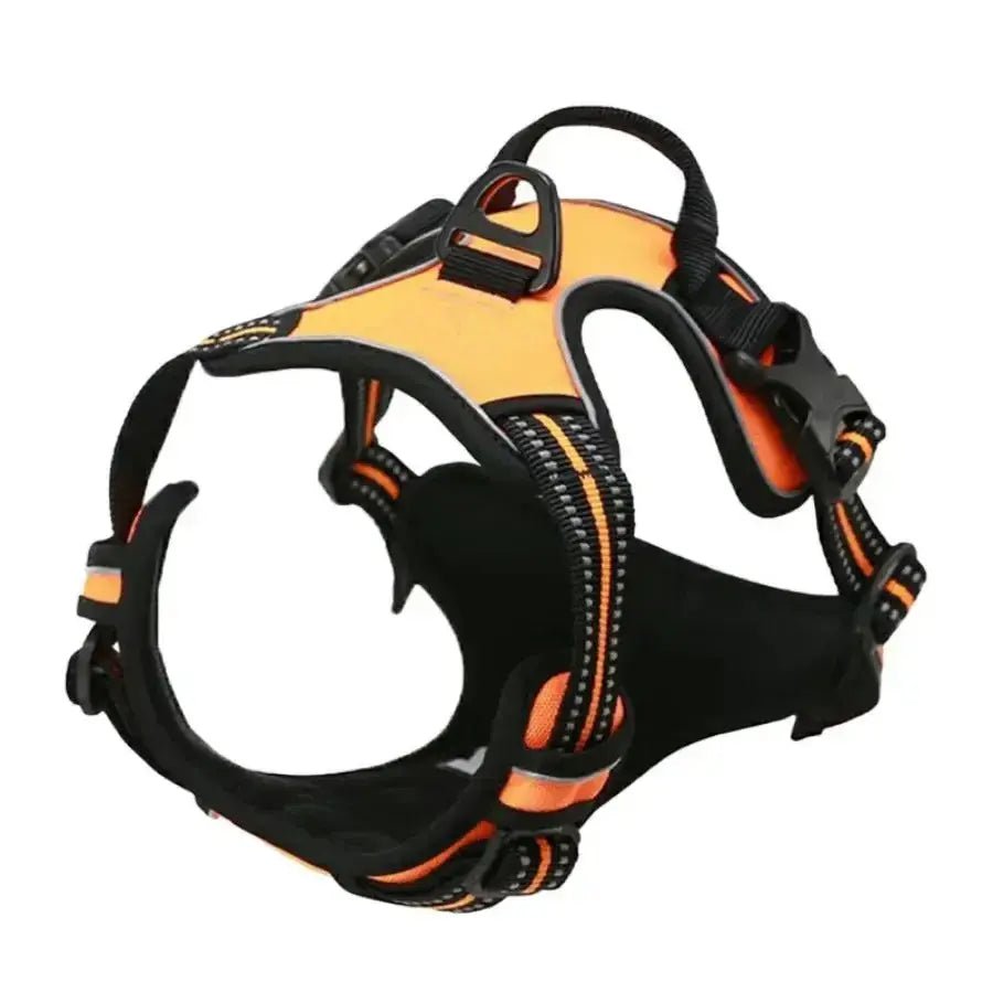 Dog Collars Harness Big Vests Leash Pet Shop Everything for Dogs Leather Puppy Accessories Medium Small Set - Fairy Pet Shop