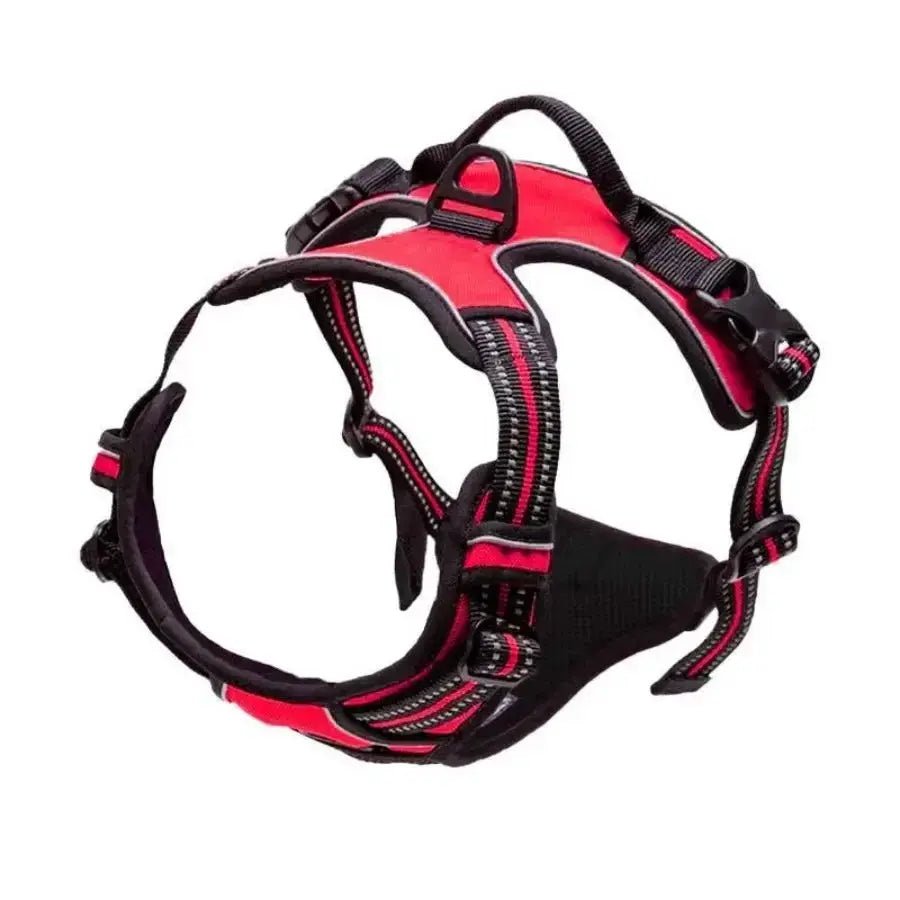 Dog Collars Harness Big Vests Leash Pet Shop Everything for Dogs Leather Puppy Accessories Medium Small Set - Fairy Pet Shop
