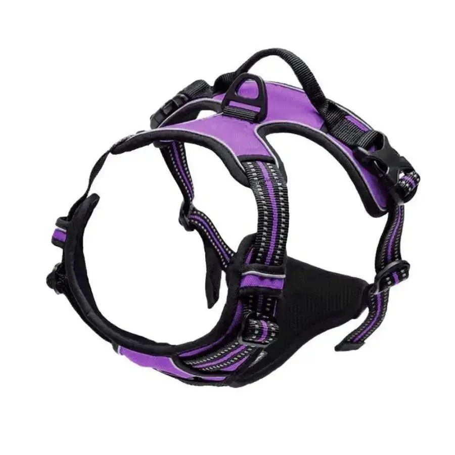 Luxury Leather Dog Harness & Collar Set