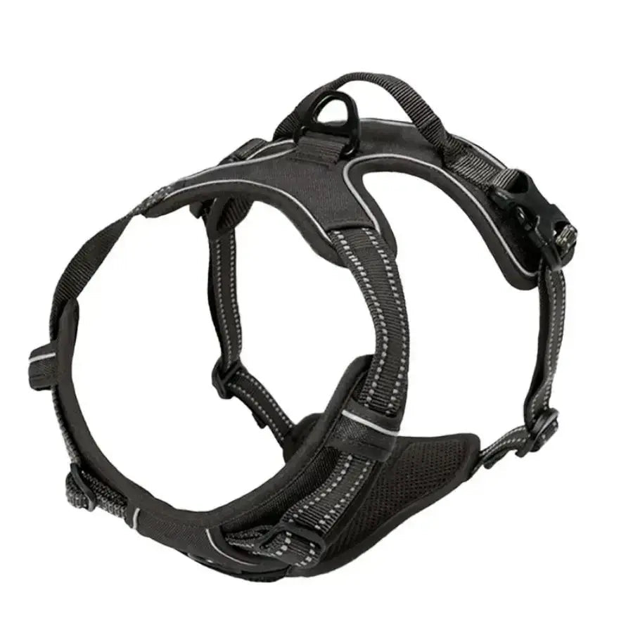 Luxury Leather Dog Harness & Collar Set