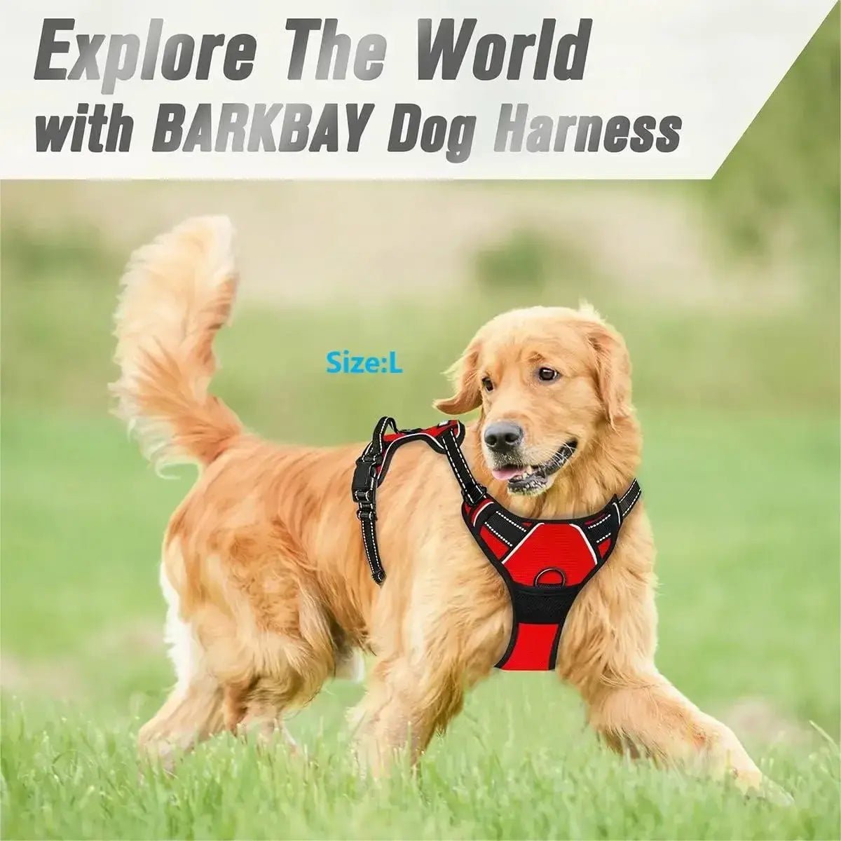 Luxury Leather Dog Harness & Collar Set