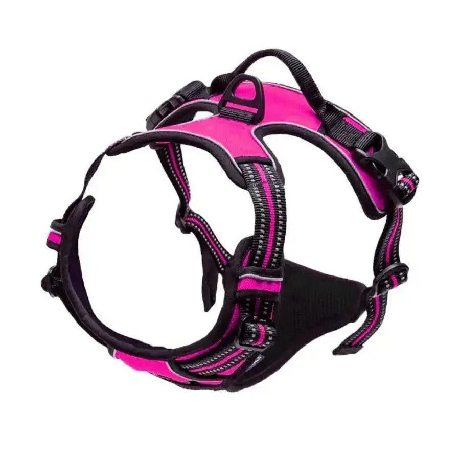 Dog Collars Harness Big Vests Leash Pet Shop Everything for Dogs Leather Puppy Accessories Medium Small Set - Fairy Pet Shop