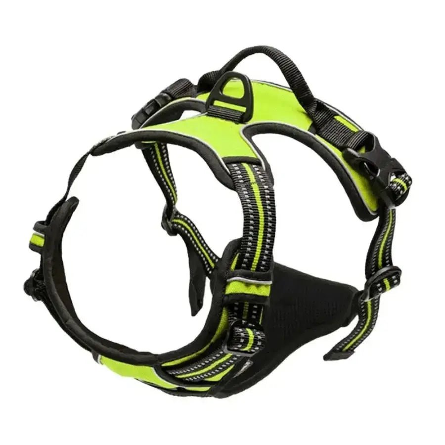 Luxury Leather Dog Harness & Collar Set