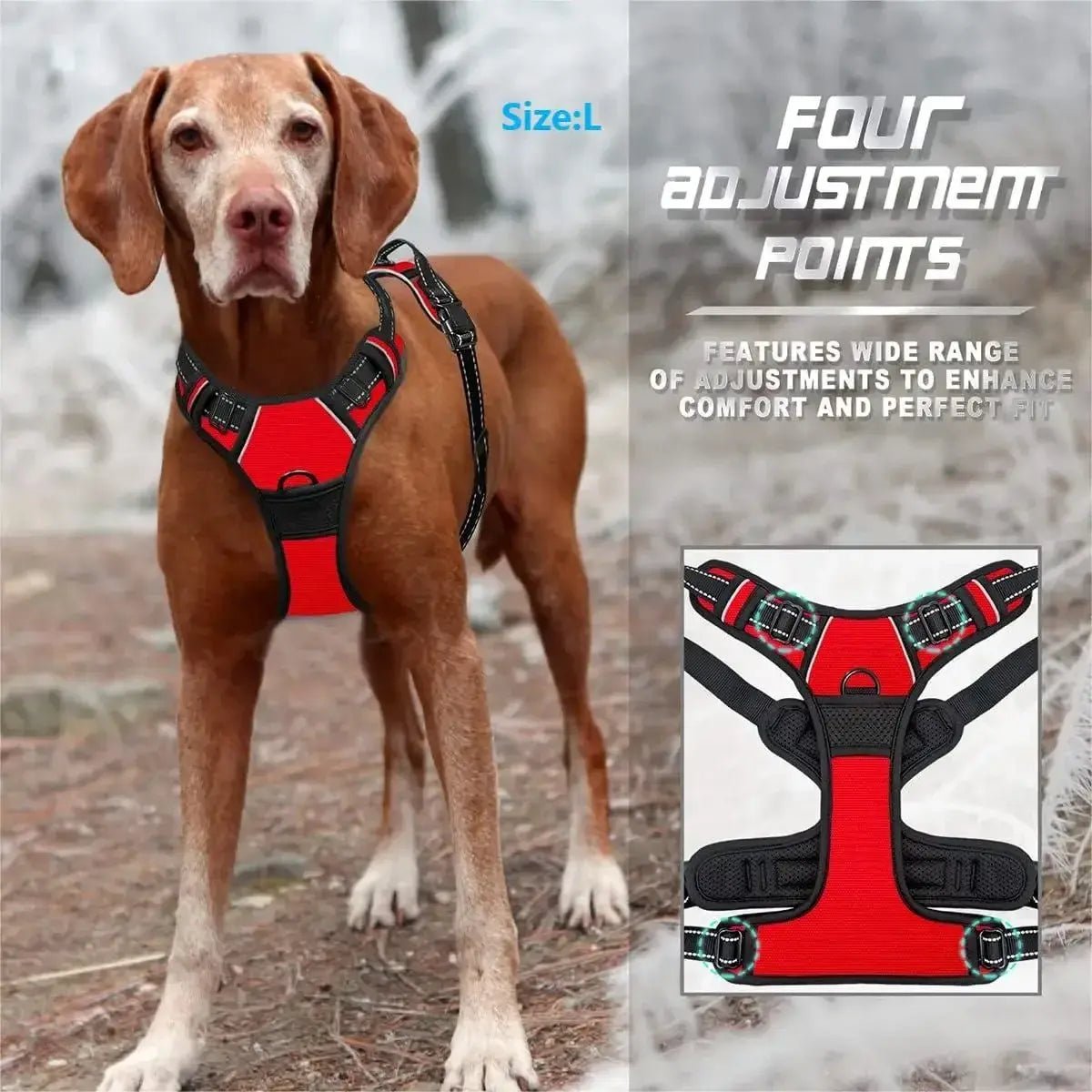 Luxury Leather Dog Harness & Collar Set