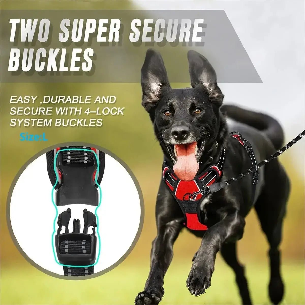 Luxury Leather Dog Harness & Collar Set