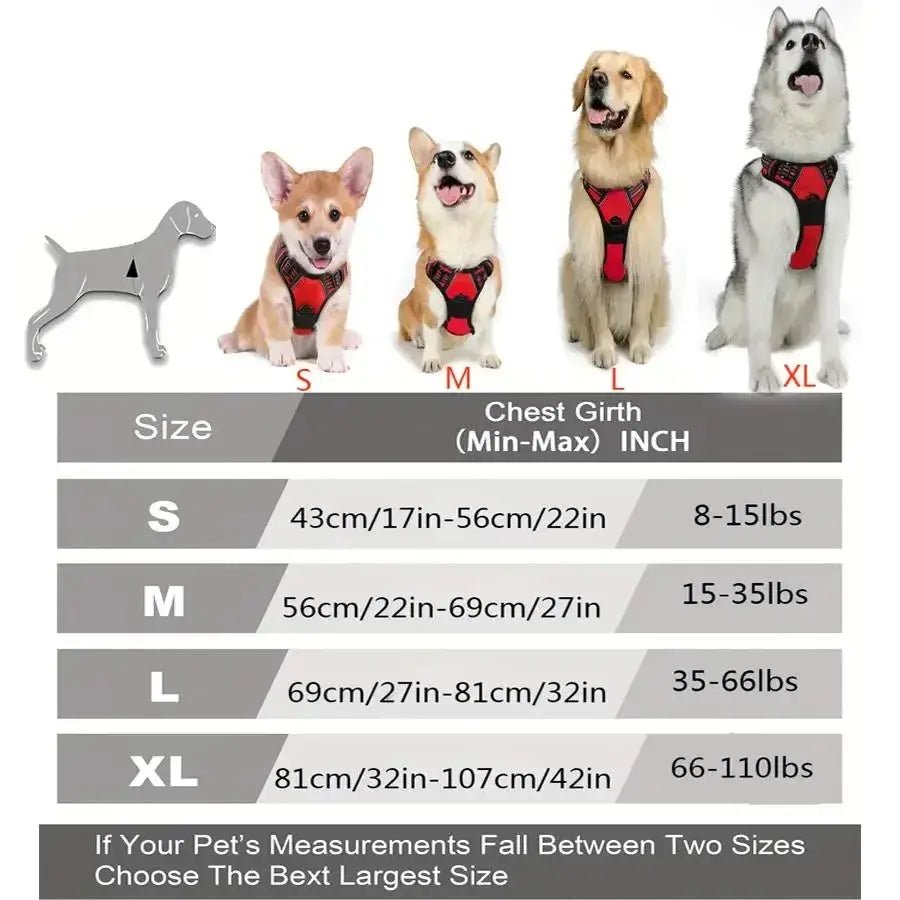 Luxury Leather Dog Harness & Collar Set