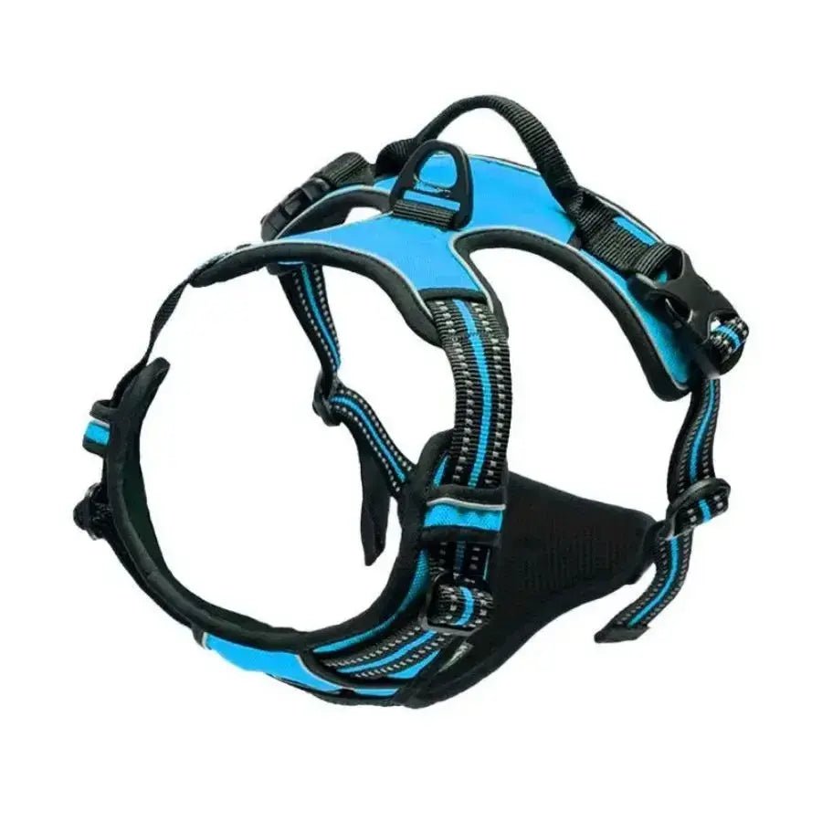 Luxury Leather Dog Harness & Collar Set