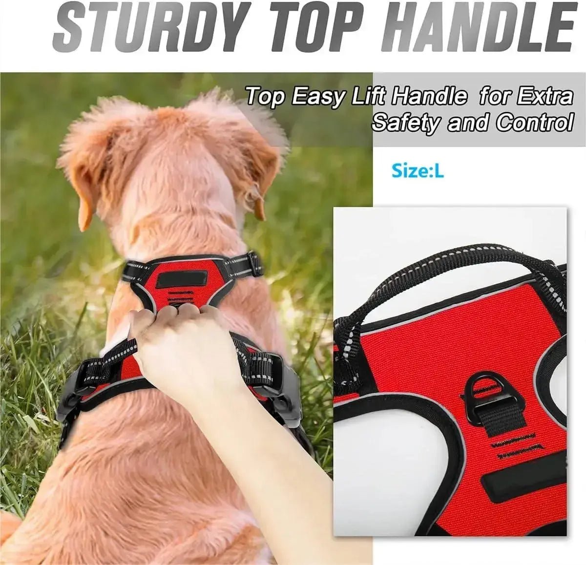 Luxury Leather Dog Harness & Collar Set