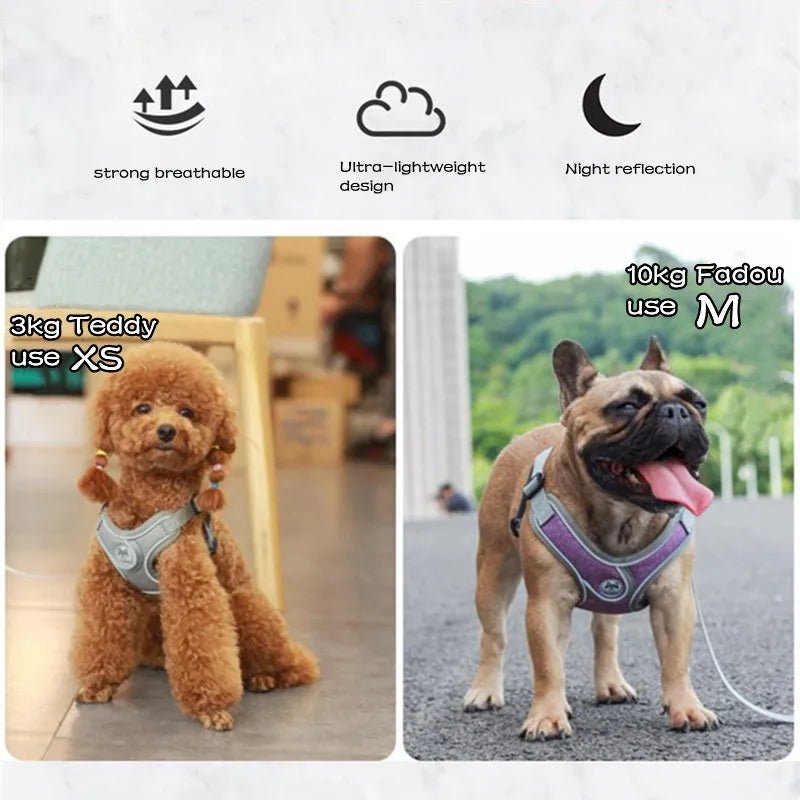 Premium Reflective Dog Harness Vest for All Breeds - Fairy Pet Shop