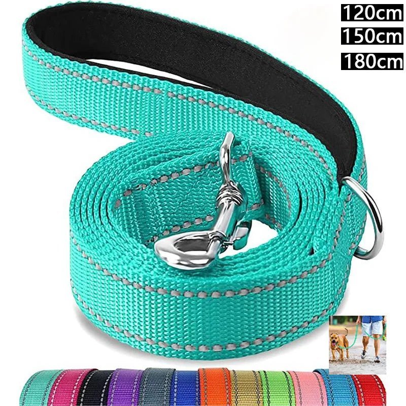 Premium Reflective Pet Leash - Safe Walks - Fairy Pet Shop
