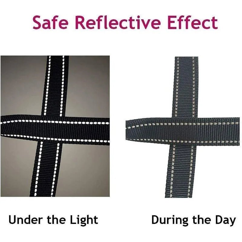 Premium Reflective Pet Leash - Safe Walks - Fairy Pet Shop