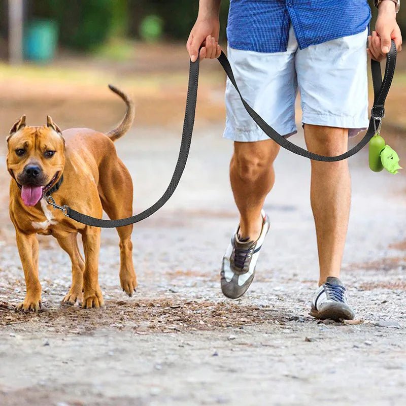Premium Reflective Pet Leash - Safe Walks - Fairy Pet Shop