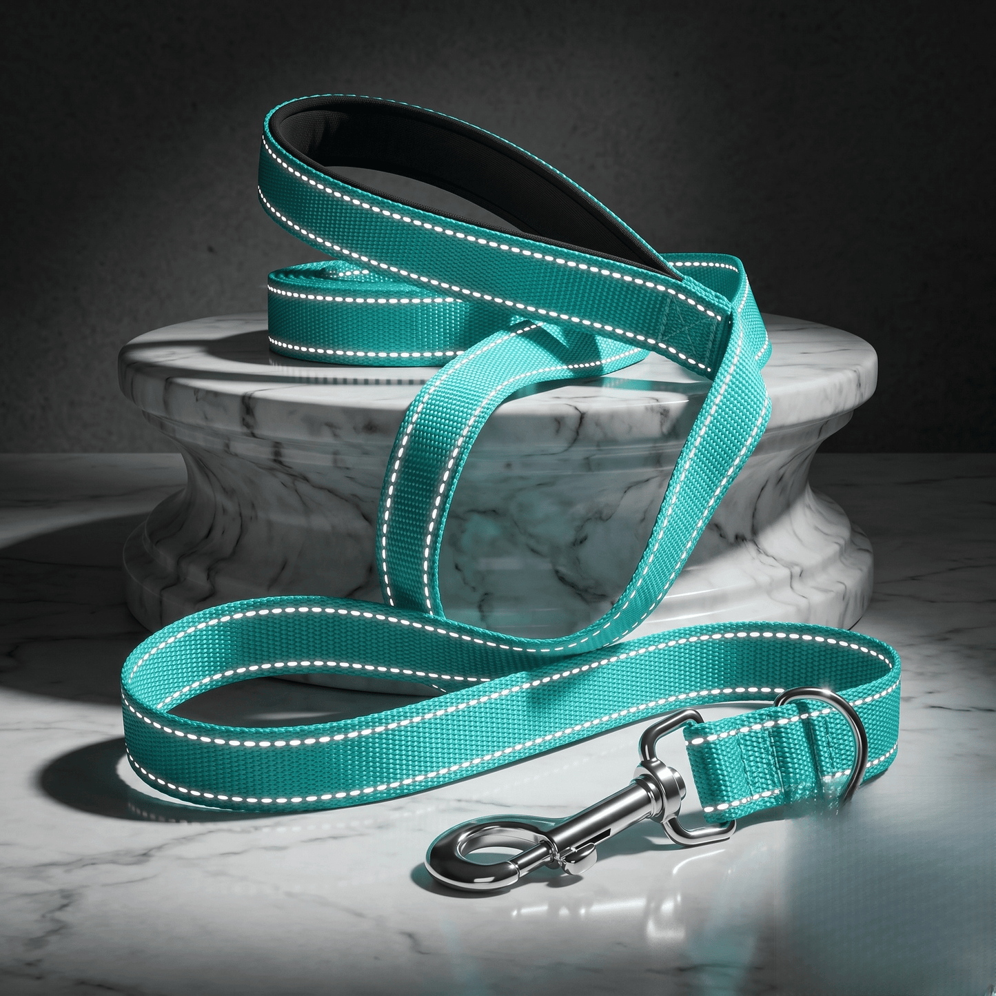 Premium Reflective Pet Leash - Safe Walks - Fairy Pet Shop