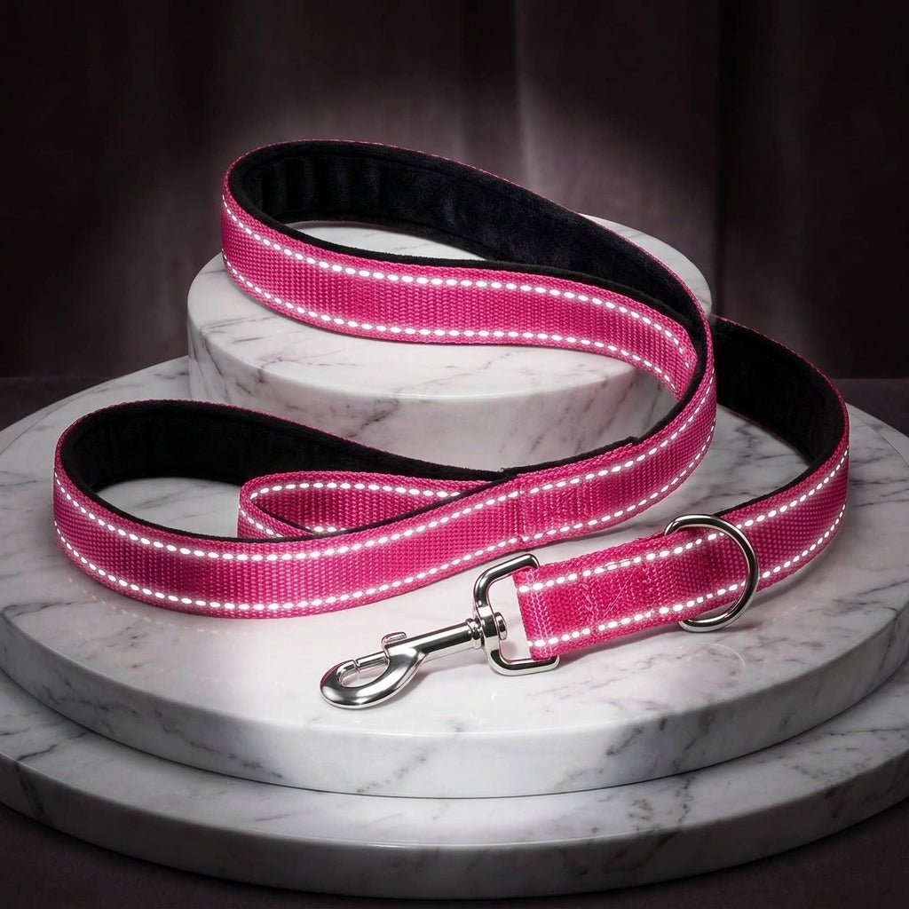 Premium Reflective Pet Leash - Safe Walks - Fairy Pet Shop
