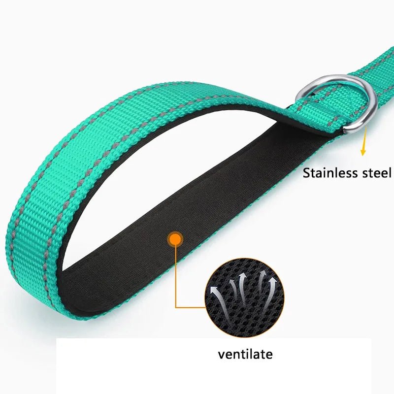 Premium Reflective Pet Leash - Safe Walks - Fairy Pet Shop