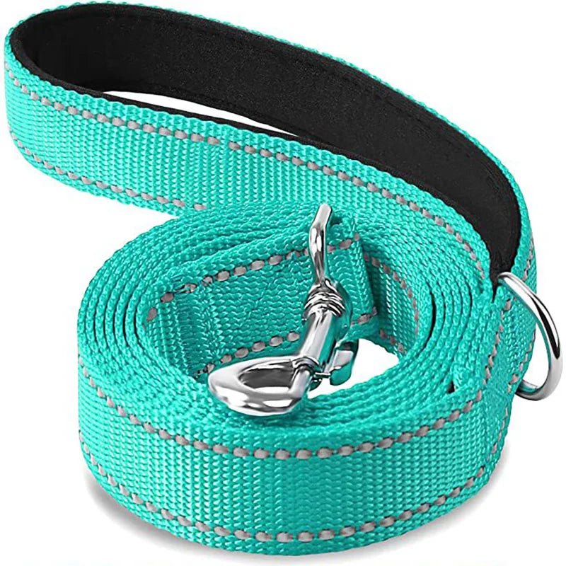 Premium Reflective Pet Leash - Safe Walks - Fairy Pet Shop