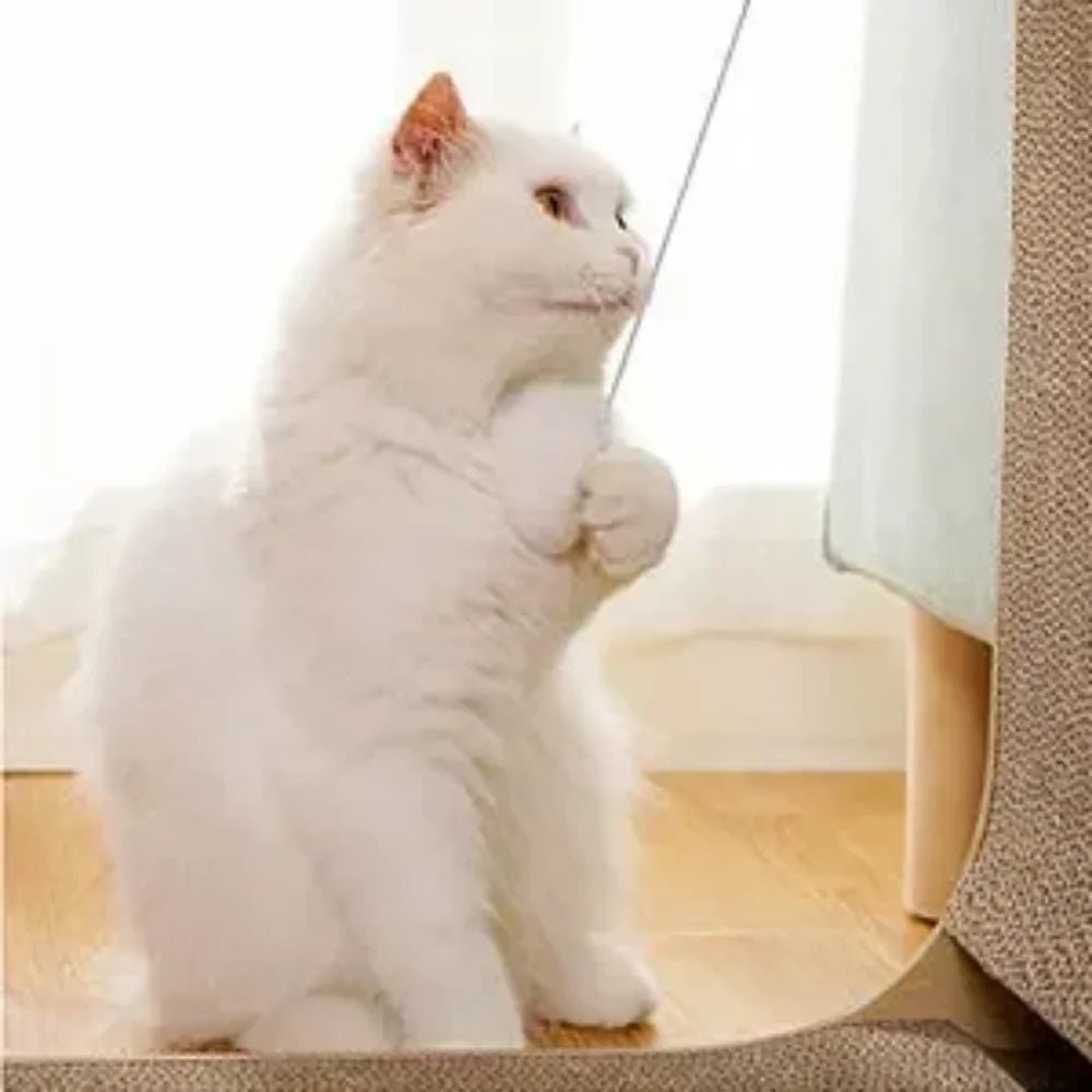 Scratch Haven Cat Scratching Post — Protect Your Furniture - Fairy Pet Shop